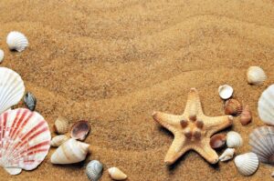mare
