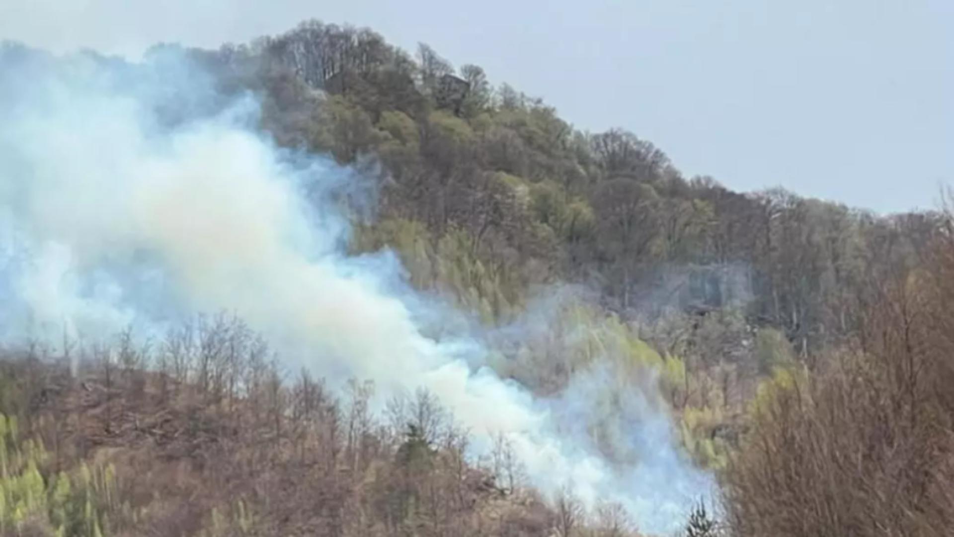 Probabil Incendiul de pădure de la Cetățeni, Argeș, stins după 5 zile. Focul ...